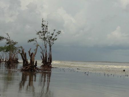 বকখালির ভিড় এড়িয়ে সপ্তাহান্তে হেনরি আইল্যান্ড