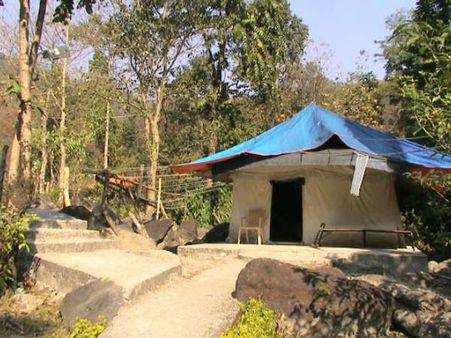 সবুজ চা বাগান পেরিয়ে এলাচের গন্ধ মেখে চলুন ঝালং