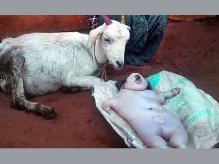 মহীশূরে মহাকাণ্ড : ছাগল জন্ম দিল মানুষরূপী শাবকের