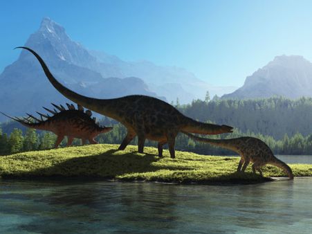 আপনি কি জানেন, আমরা রোজ ডায়নোসরের মূত্র পান করছি! বিষয়টি বুঝতে দেখুন ভিডিওটি