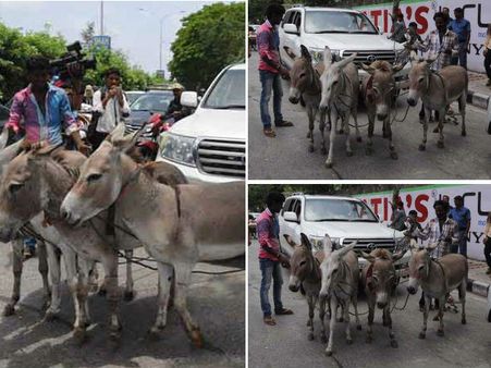 (ছবি) কোটি টাকার ল্যান্ড ক্রুসার পরিণত হল গাধায় টানা গাড়িতে!