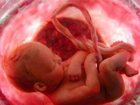 কণ্যা ভ্রূণ হত্যা রুখতে এবার গোয়েন্দার সাহায্য নেবে পাঞ্জাব সরকার