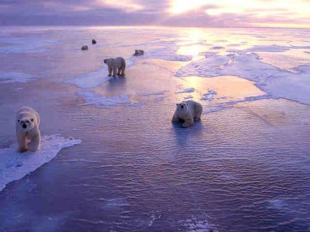 বিশ্ব উষ্ণায়ন : তলানিতে আসতে পারে অক্সিজেনের মাত্রা, লাগতে পারে মড়ক