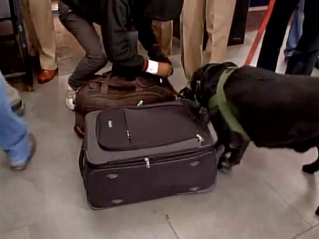 দিল্লি-লখনউ শতাব্দী এক্সপ্রেসে বোমাতঙ্ক, ট্রেন থামিয়ে তল্লাশি গাজিয়াবাদে