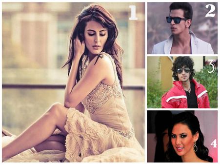 বিগ বস ৯ গ্র্যান্ড ফিনালে : কে হবে চ্যাম্পিয়ন? প্রাক্তন প্রতিযোগীদের ভবিষ্যদ্বাণী কী বলছে?