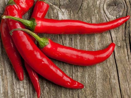 লঙ্কায় কামড় গিয়ে প্রাণ গেল এক শিশুর