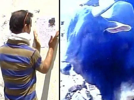 'বাদশা'-র খোঁজ দিলে মিলবে ৫০ হাজার, শোকার্ত ঘোষণা মালিকের