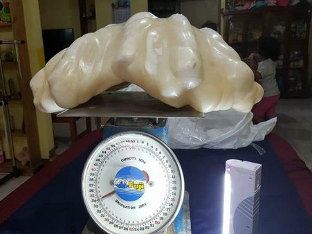 ৩৪ কেজি ওজনের বিশ্বের সবচেয়ে বড় মুক্তোর সন্ধান মিলল ফিলিপিন্সে