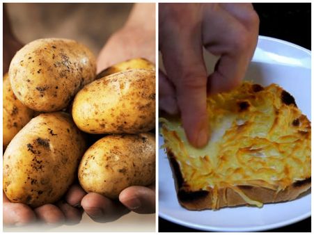 এবার পুরনো আলু দিয়েই তৈরি হবে চিজ!