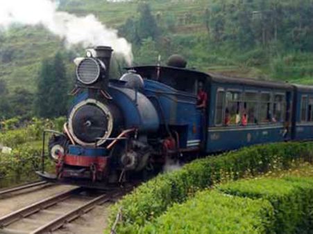 বেলাইন টয় ট্রেন, দু’টি কামরা লাইনচ্যুত হয়ে জখম ১০ পর্যটক