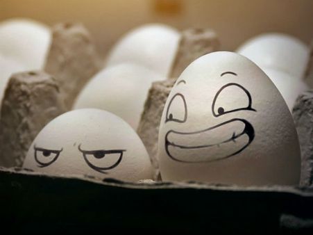 (ছবি) কলকাতার বাজারে প্লাস্টিক ডিম! কীভাবে বুঝবেন আসল ও নকলের পার্থক্য?