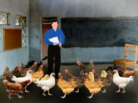 ছাত্ররা ছুটিতে, ক্লাসরুমকে 'পোলট্রি ফার্ম' বানিয়ে ফেললেন হেডমাস্টার