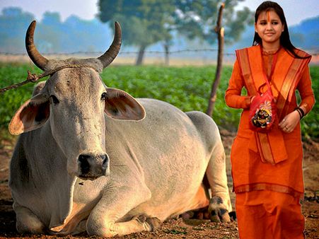 গোমাংস খেলে ফাঁসিতে ঝোলানোর দাবি, ফের বিতর্ক খাড়া করলেন সাধ্বী সরস্বতী