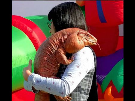 সারমেয়র চেয়ে বড় টিকিটিকি! স্যোশাল মিডিয়ায় ভাইরাল হল ছবি