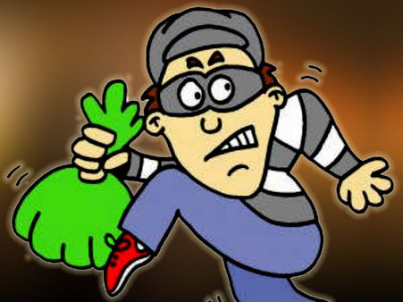 ব্যাঙ্কে ঢুকে নোট নয় কয়েন ডাকাতি করে পালাল দুর্বৃত্তরা, আজব ঘটনার পিছনে আসল গল্পটা কী