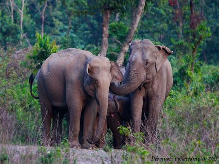 নতুন করে খুলল বক্সার সিকিয়াঝোরা পর্যটন কেন্দ্র