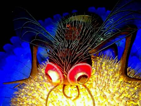 এবারও আলোকসজ্জায় মাত করেছে চন্দননগর, দেখে নিন একনজরে