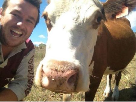 গরুর সঙ্গে সেলফি তুলে জিততে পারেন পুরস্কার, প্রতিযোগিতা চলছে এই শহরে