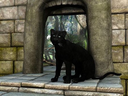 ভারতীয় মানেই এই কুসংস্কারগুলি কোনও একটি আপনি মেনে চলবেনই