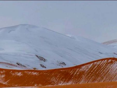 সাহারায় শিহরণ! মরুভূমিতে তুষারপাত, দেখুন ছবি