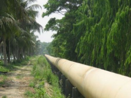 দক্ষিণ কলকাতায় ডায়রিয়া আক্রান্ত এলাকায় জলের লাইনে ছিদ্র! সংখ্যা জানলে চমকে যাবেন