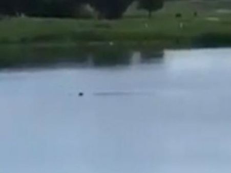 খেলতে গিয়ে মর্মান্তিক পরিণতি! ময়দানে ডুবে মৃত্যু কিশোরের