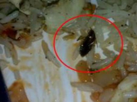 পচা মাংসের পর এবার আরশোলা! রেস্তোরাঁর সাফাই শুনলে চমকে যাবেন