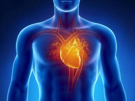 সিনেমাকেও হার মানাল এই ঘটনা, মাত্র ২০ মিনিটে বিমানবন্দর থেকে হাসপাতালে গেল হৃদযন্ত্র