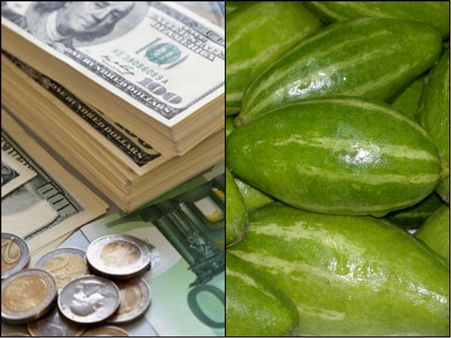 পটল চিরতেই বেরিয়ে এল রাশি রাশি টাকা! দমদম বিমানবন্দরে বমাল গ্রেফতার যাত্রী