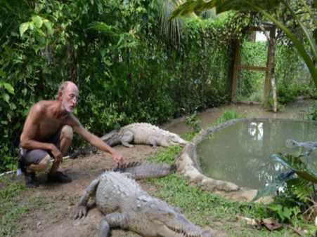 ইন্দোনেশিয়ায় প্রায় ৩০০ কুমির খুনে চাঞ্চল্য! জেনে নিন বিস্তারিত