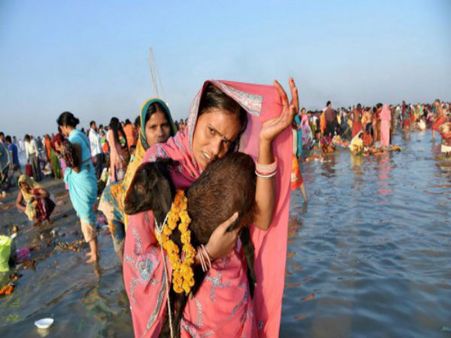 গরুর পর এবার ছাগল 'মাতা'! বিজেপির বর্তমান ও প্রাক্তনী-র টুইট-টক্কর