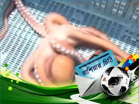 জাপান ম্যাচে ভবিষ্যদ্বাণী করা অক্টোপাসকে কেটে তৈরি হয়েছে সুস্বাদু ডিশ