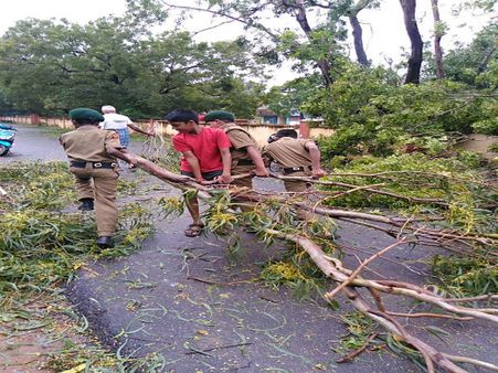 বেঙ্গালুরুতে হঠাৎই বাড়ল হাওয়ার বেগ! আতঙ্কিত না হতে পরামর্শ আবহাওয়া দফতরের