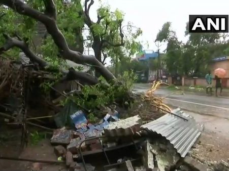 তামিলনাড়ুতে আছড়ে পড়ল ঘূর্ণিঝড় 'গাজা', তছনছ নাগাপট্টিনম, ছয়টি জেলায় লাল সতর্কতা