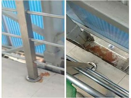 উদ্বোধনের ২৪ ঘন্টার মধ্যেই স্কাইওয়াকে গুটকা প্রেমীদের দাপাদাপি! সোশ্যাল মিডিয়ায় প্রতিবাদের ঝড়