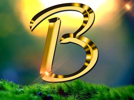 নামের শুরুতে B থাকলে এই গুণগুলি থাকে ব্যক্তির মধ্যে