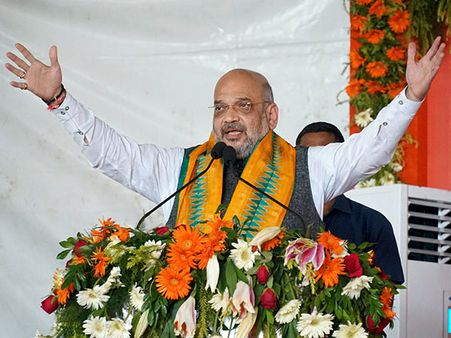 অমিতের মুখে মমতার ছবি! কত দাম, তুললেন প্রশ্ন