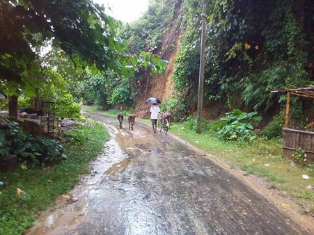 উত্তর-পূর্বের রাজ্যে দেবনগরী অক্ষর চালুর বিরোধিতা! সরব নেতা