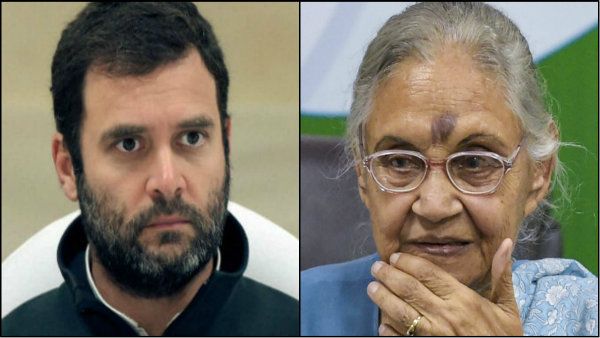 নেপথ্যে কি আমেথির হার? রাহুলের পদত্যাগের আটকাতে কোমর বাঁধছে দিল্লি কংগ্রেস