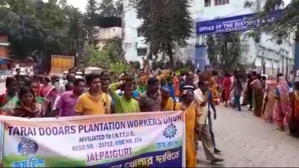 চা বাগান খোলার দাবিতে জেলাশাসকের দফতর ঘেরাও তৃণমূলের, শ্রমিক বিক্ষোভ উত্তাল