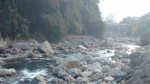 পাহাড়ের কোলে জয়ন্তী-বক্সার অপরূপ শোভা, গরুমারায় এক রহস্যময় ডুয়ার্স