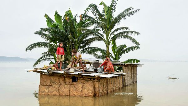 ইঁদুর মেরে খেতে হচ্ছে , কিম্বা জুটছে পোকা ধরা চাল! বন্যাদুর্গতদের করুণ কাহিনি প্রকাশ্যে