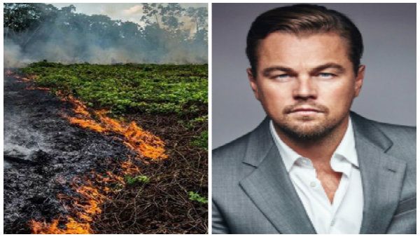 আমাজন আগুনের গ্রাসে! অরণ্য বাঁচাতে এবার ময়দানে হলিউড তারকা লিওনার্দো দিক্যাপ্রিও