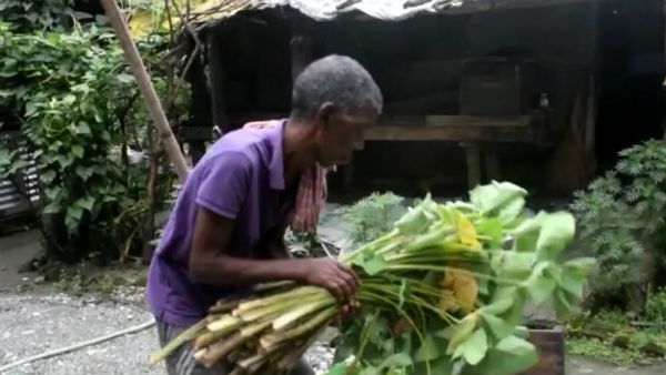খিদের জ্বালায় পাঁচমাস ধরে কচু শাক খাচ্ছেন কালচিনির চা বাগানের শ্রমিকেরা