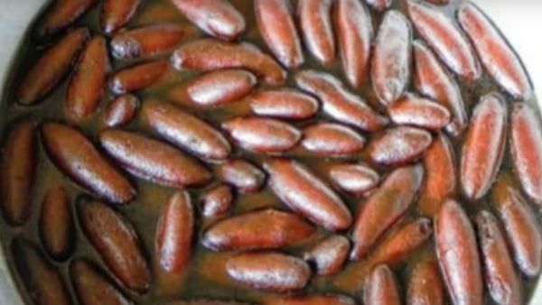 শক্তিগড়ের ল্যাংচার ‘জিআই ট্যাগের’ জন্য তোড়জোড় শুরু রাজ্য প্রশাসনের