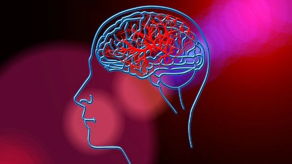 স্ট্রোকের আগাম পূর্বাভাস এবার অ্যাপের মাধ্যমেই, দাবি স্ট্রোক ফাউন্ডেশন অফ বেঙ্গলের