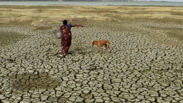 স্বল্প বৃষ্টির জেরে ভয়াবহ খরার কবলে রাজস্থানের প্রায় ১৩০০ গ্রাম