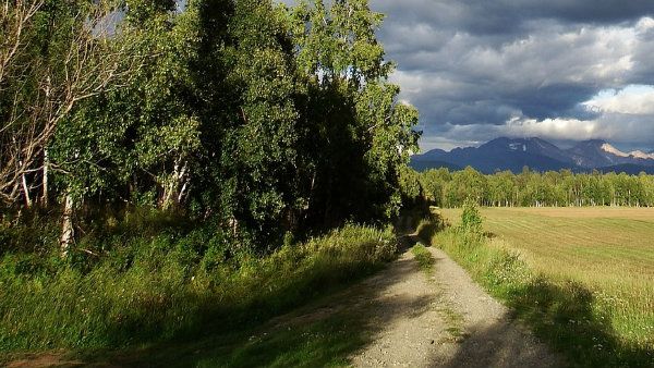 উচ্চবর্ণের রাস্তা ব্যবহার করা যাবে না, দলিতের দেহ নালা–নর্দমার ওপর দিয়ে নিয়ে যাওয়া হল শ্মশানে