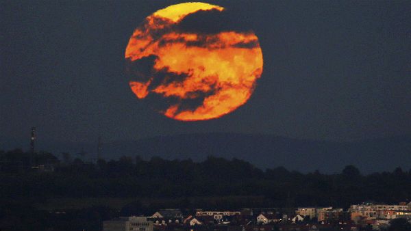 আর্থিক দিকে উন্নতি করতে কার্তিক পূর্ণিমার দিন করুন এই কাজগুলি