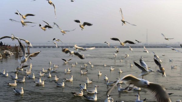 যমুনার নদীর জল বিক্রির সিদ্ধান্ত হিমাচল প্রদেশ সরকারের